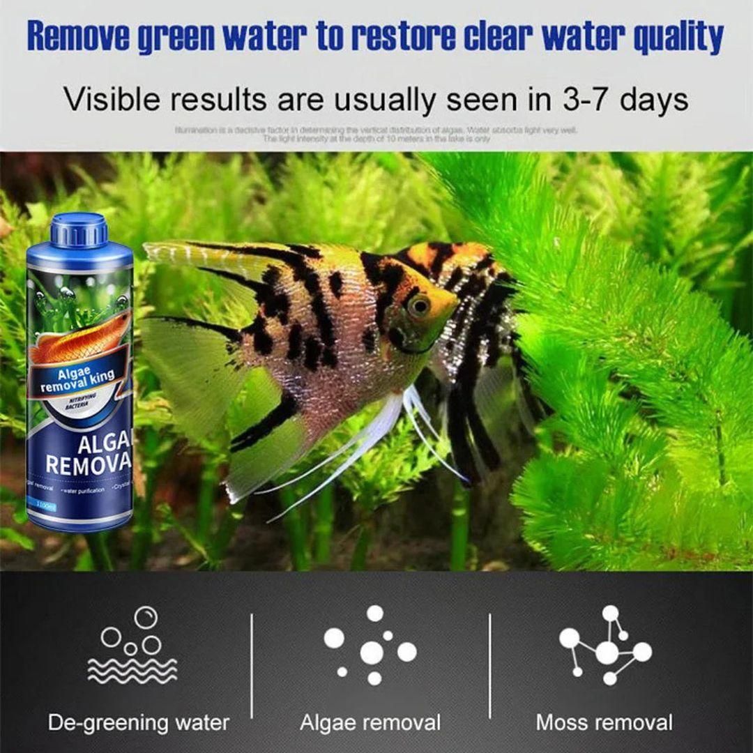 Algae Remover for Fish Tank & Pond – Green Algae & Moss Cleaner, Safe for Fish & Plants