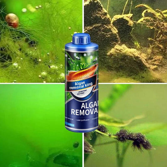 Algae Remover for Fish Tank & Pond – Green Algae & Moss Cleaner, Safe for Fish & Plants